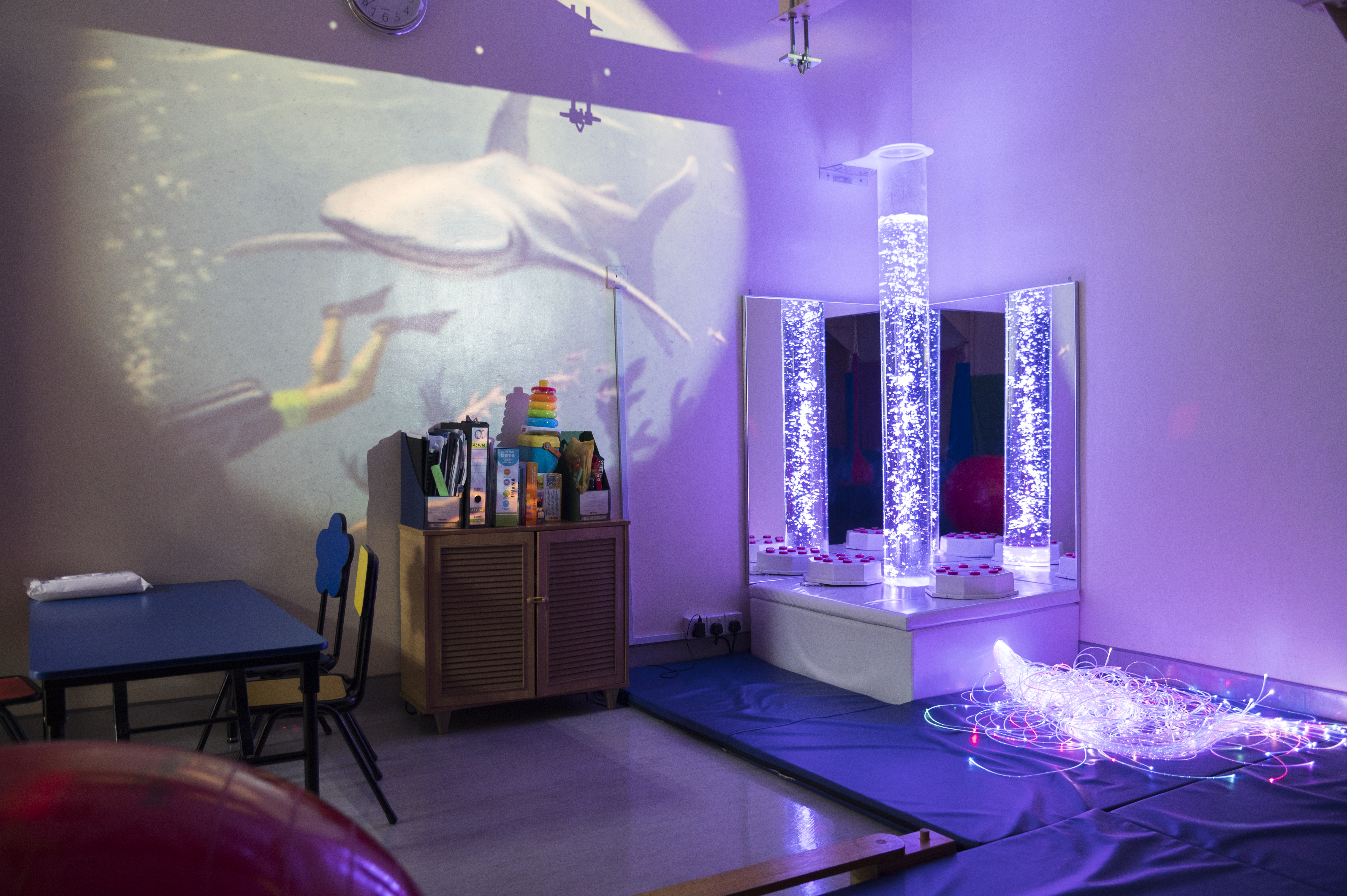 Sensory Integration 3